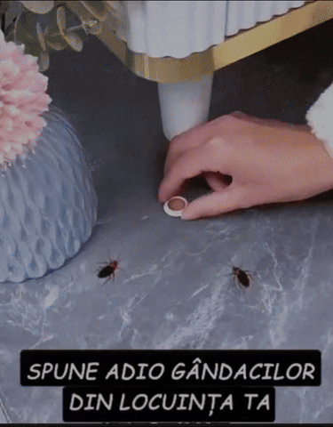 BugBuster Gel- Solutie pentru gandaci